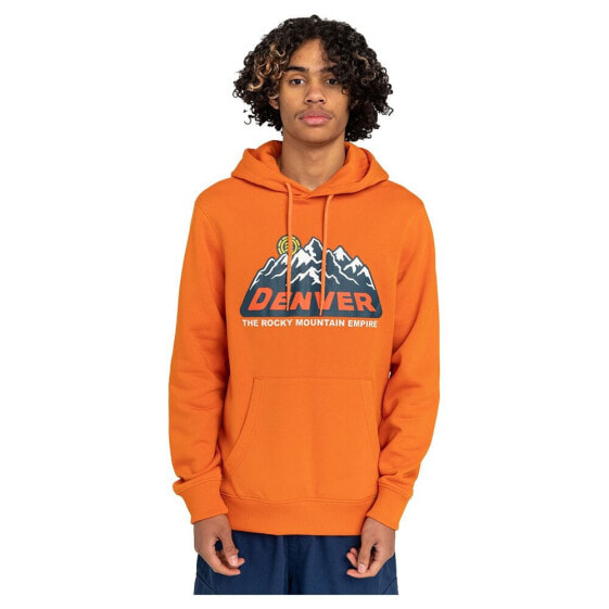 Element Rocky hoodie