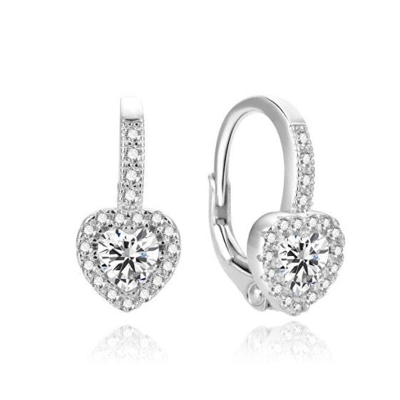 Romantic earrings in the shape of hearts AGUC1299DL