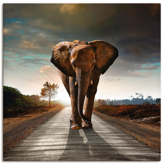 Leinwandbild Elefant auf der Straße