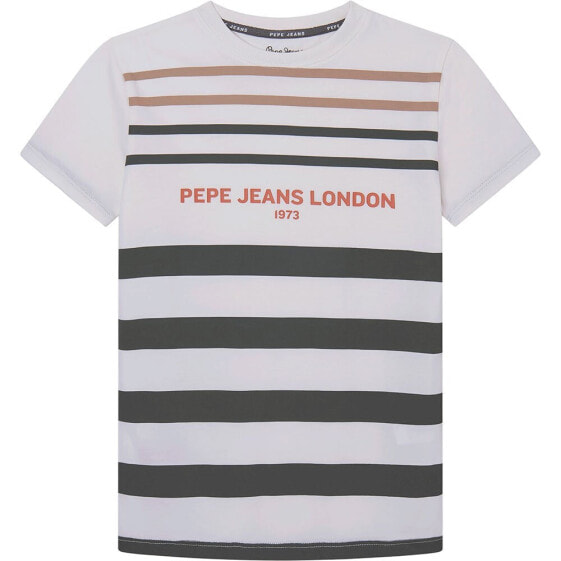 Футболка мужская Pepe Jeans Terence коротким рукавом.