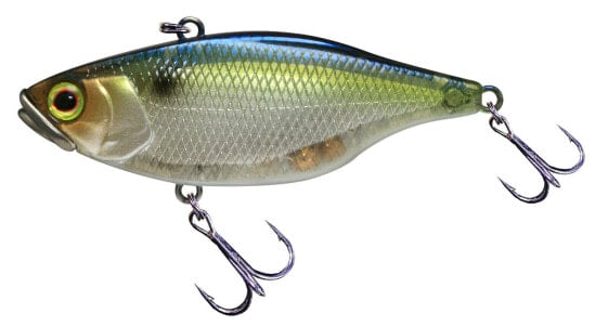 Jackall TN Lipless Crank Baits (JTN50-SGTH) Fishing