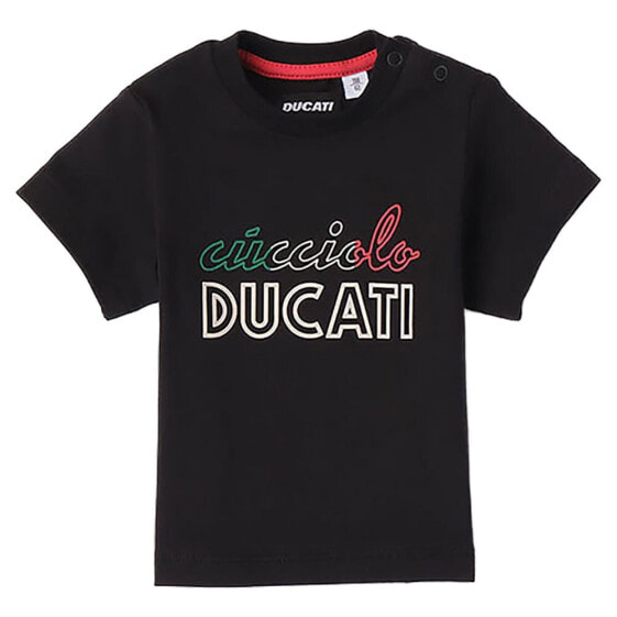 Ducati G8648 short sleeve T-shirt
