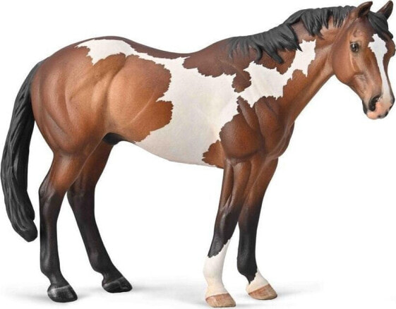 Figurka Collecta Appaloosa ogier