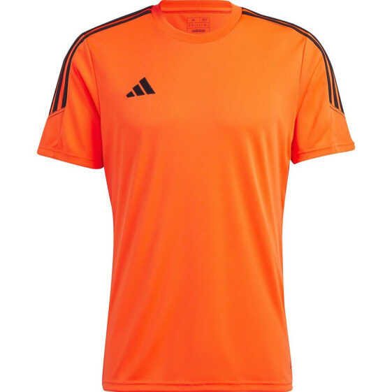 Adidas Tiro 23 Club Training