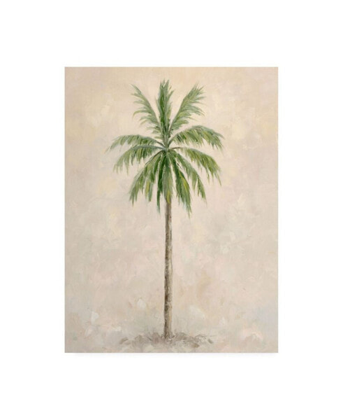 Debra Lake Palm Tree 1 Canvas Art - 27" x 33.5"