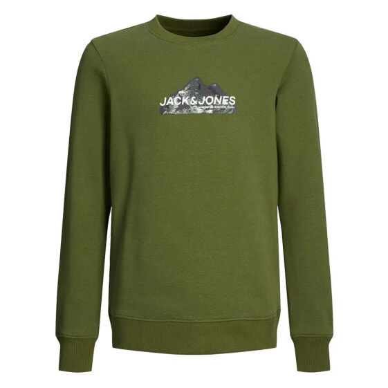 JACK & JONES Mountain Logo sweatshirt