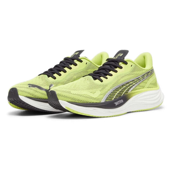 PUMA Velocity Nitro 3 PSychedelic Rush running shoes