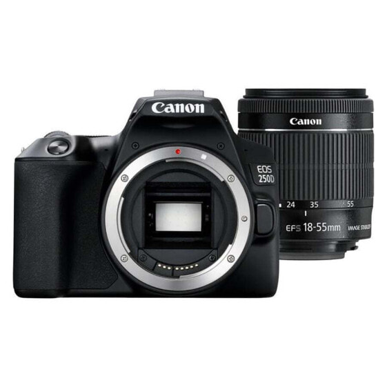 CANON EOS 250D BK + EF-S 18-55 mm compact camera