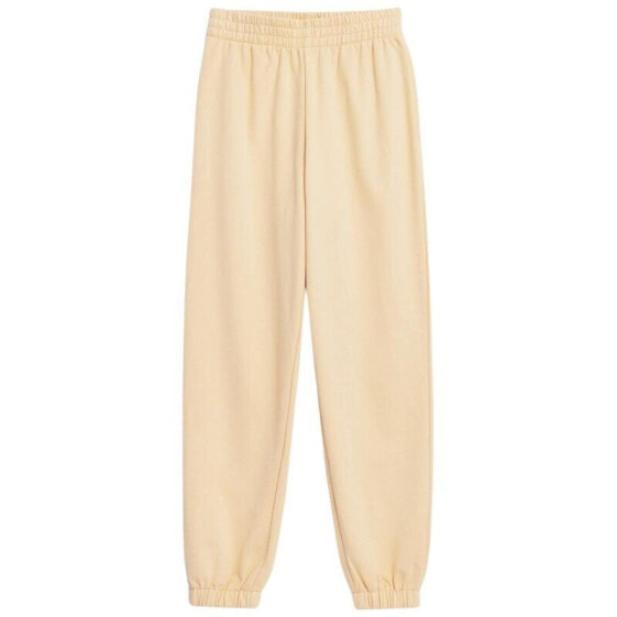 Trousers 4F W 4FSS23TTROF147 73S