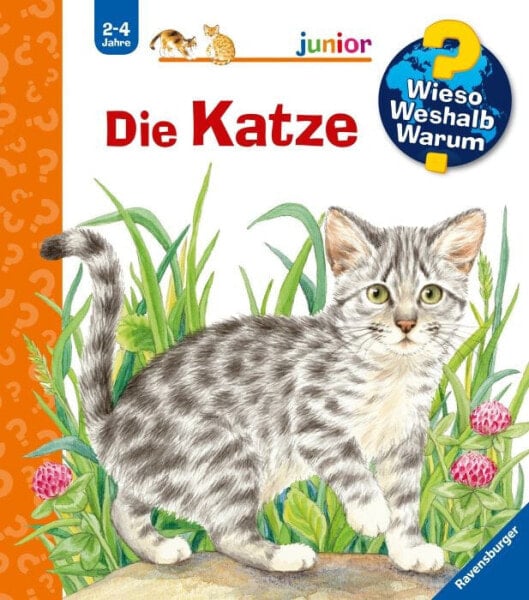 WWWjun21: Die Katze