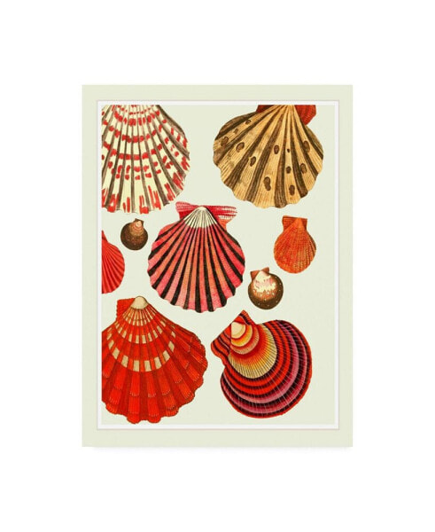 Fab Funky Red and Cream Clam Shells Canvas Art - 36.5" x 48"