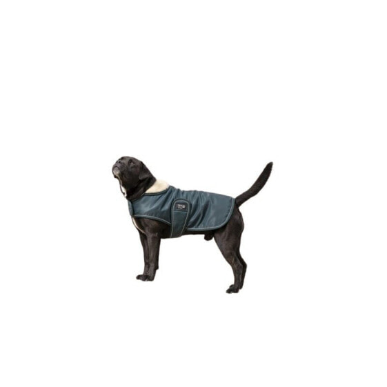 DIEGO & LOUNA Teddy Polar Dog Jacket