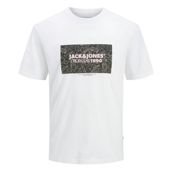 JACK & JONES Bushwick Box short sleeve T-shirt