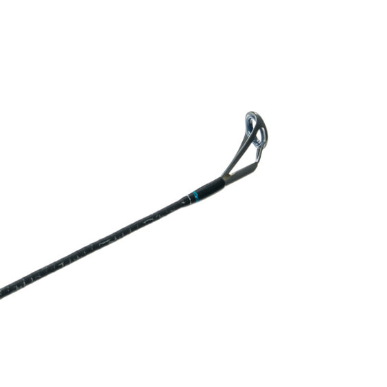 Shimano TERAMAR XX NE CASTING, Saltwater, Inshore, Casting, 7'0", Medium, 1 p...