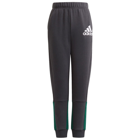 ADIDAS Bos Pants