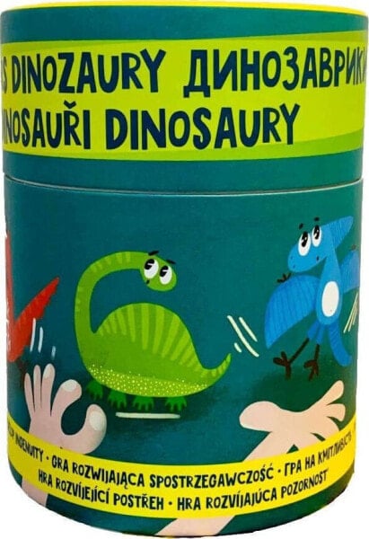 Dodo Dodo Gra na spostrzegawczość Dinozaury