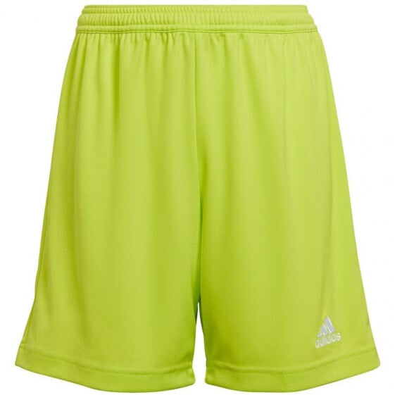 Adidas entrada short online