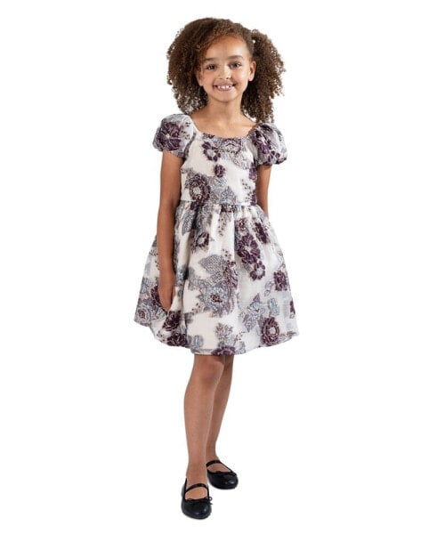 Toddler & Little Girls Burnout Organza Social Dress