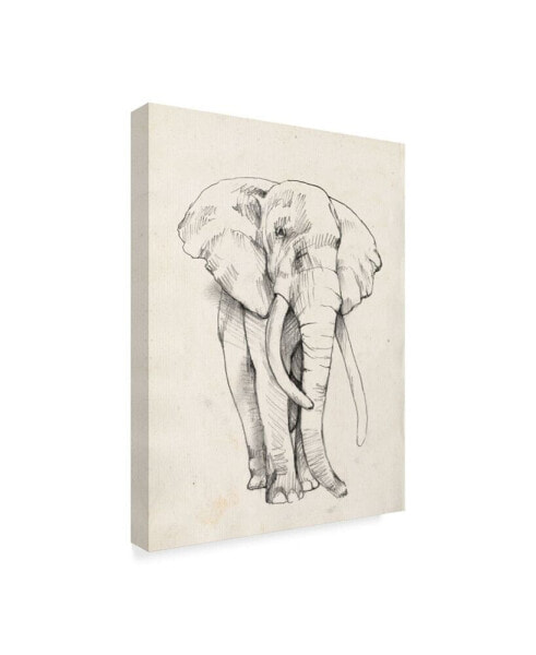 Jennifer Goldberger Elephant Portrait Bold II Canvas Art - 20" x 25"