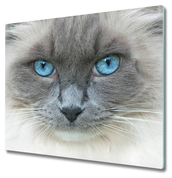 Schneidebrett Katze Blaue Augen