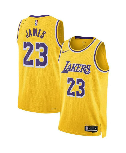 Men's and Women's LeBron James Los Angeles Lakers Swingman Jersey