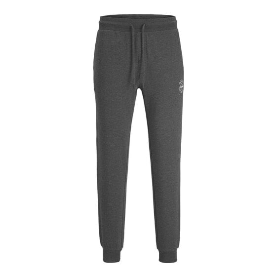 JACK & JONES Jogging Gordon Shark pants