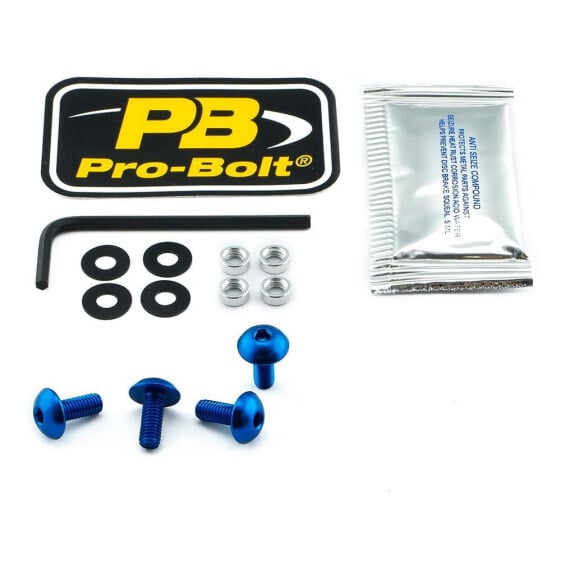 PRO BOLT SCR 4/CO SK410B Windshield Screws