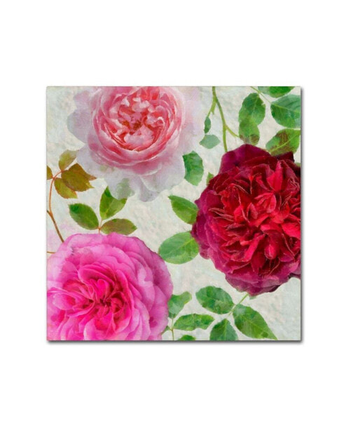 Cora Niele 'Peonies And Roses V' Canvas Art - 14" x 14" x 2"