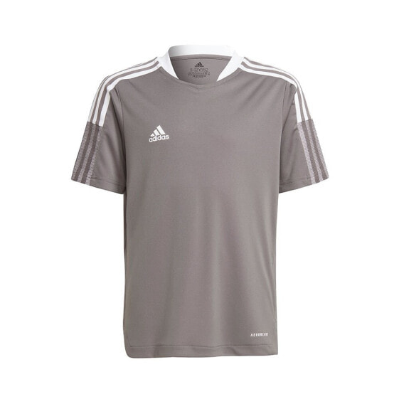 ADIDAS Tiro 21 Training short sleeve T-shirt