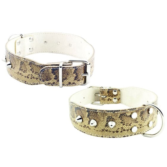 YOUPET Bull Dog Co1F 55x4 cm Dog Collar