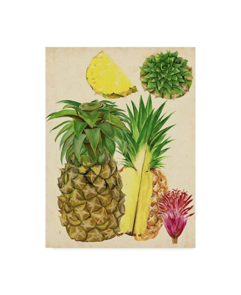 Melissa Wang Tropical Pineapple Study I Canvas Art - 20" x 25"