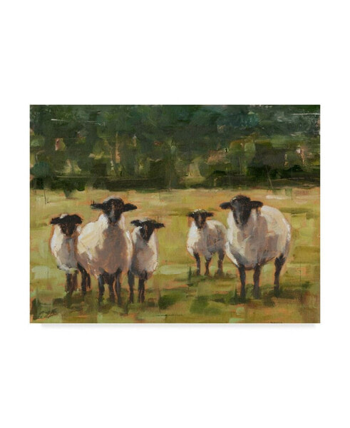 Ethan Harper Sheep Family I Canvas Art - 37" x 49"