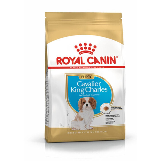 Сухой корм для щенков Royal Canin Cavalier King Charles Spaniel Puppy 1,5 кг