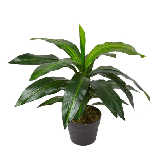 Искусственные цветы Homescapes Dracaena Fragrans – künstlicher baum