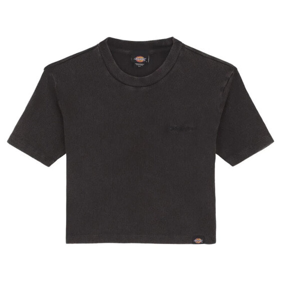 DICKIES Newington Garment Wash short sleeve T-shirt