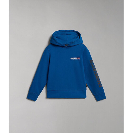 NAPAPIJRI B-Neutrinos hoodie