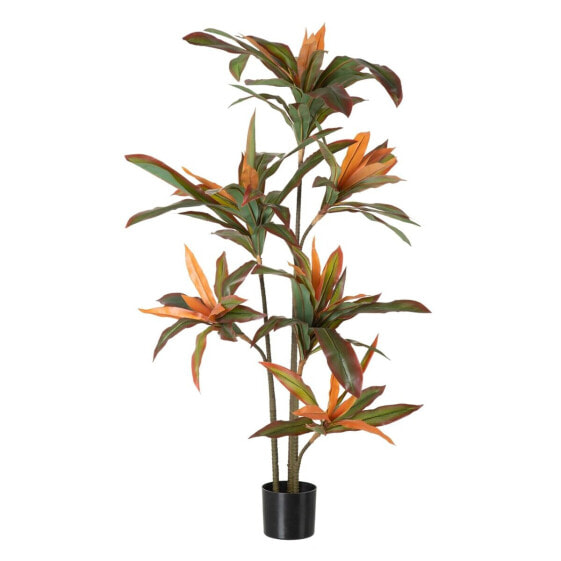 Декоративное растение Dracaena Коричневый Зеленый PVC 140 cm