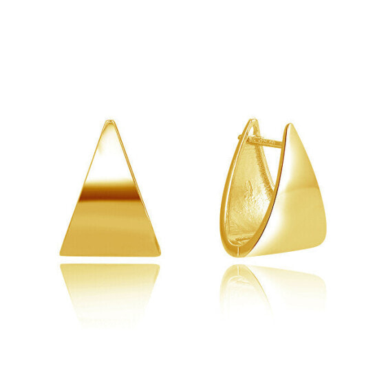 Stunning gold-plated earrings AGUC2677-GOLD