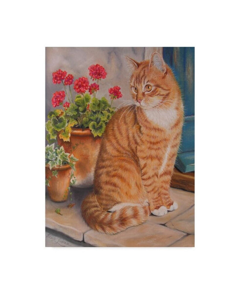 Janet Pidoux 'Ginger Cat On Doorstep' Canvas Art - 24" x 32"