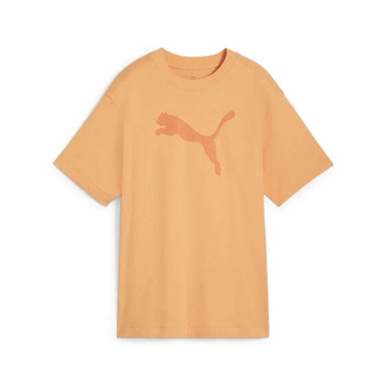 PUMA 681619 short sleeve T-shirt