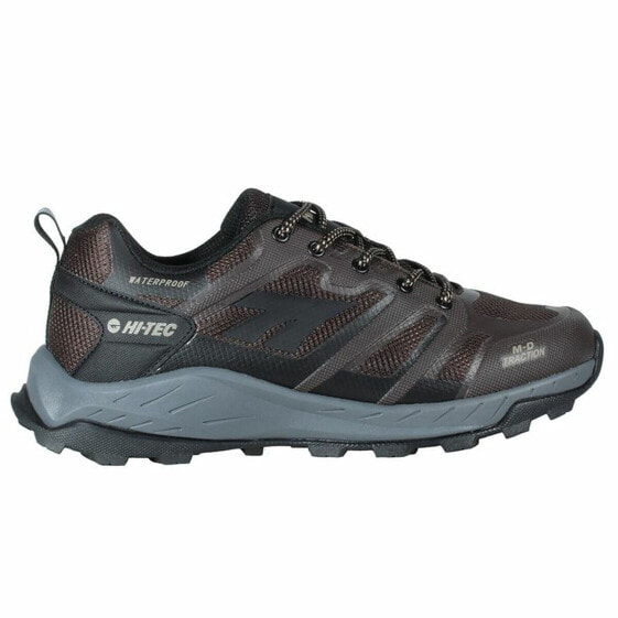 Running Shoes for Adults Hi-Tec Toubkal Low Brown