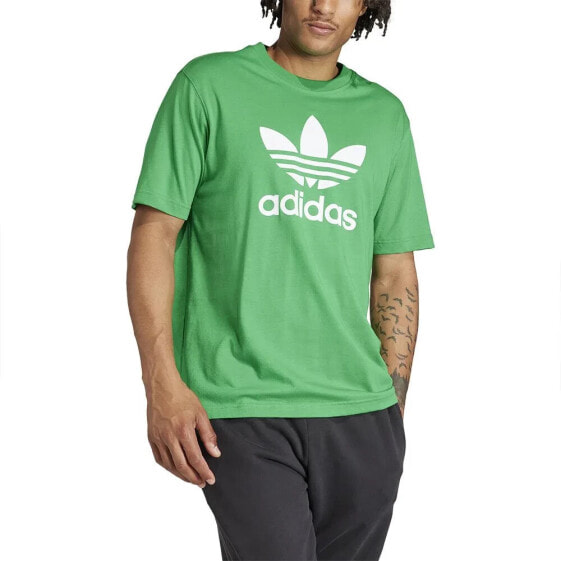 ADIDAS ORIGINALS Adicolor Trefoil short sleeve T-shirt