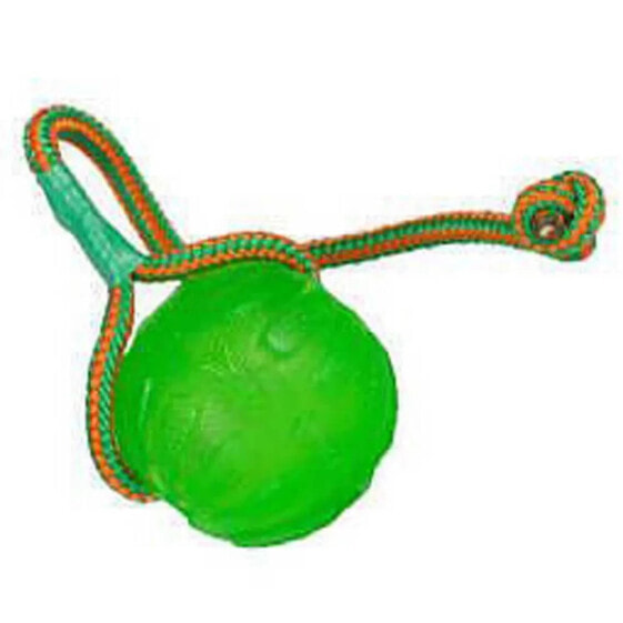 STARMARK Swing & Fling Chew Ball