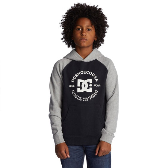 DC SHOES Strpltrglnphb hoodie