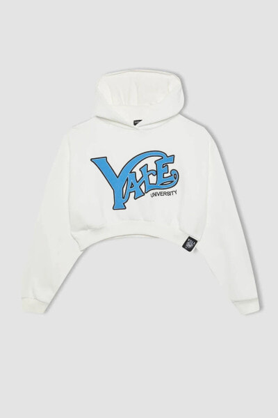 Kadın Sweatshirt Kırık Beyaz C3092ax/wt32