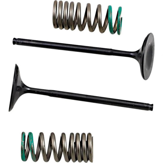 PROX 28.SIS1340-2 Springs intake valve