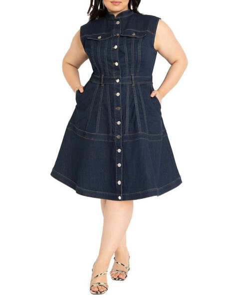 Plus Size Fit & Flare Denim Dress