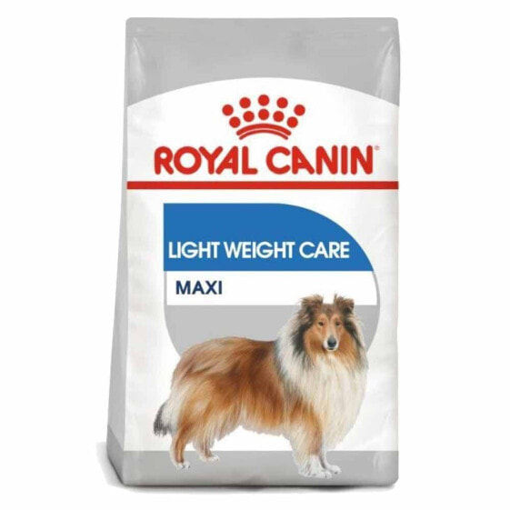 ROYAL CANIN CCN Maxi Digestive Care 12kg Dog Food