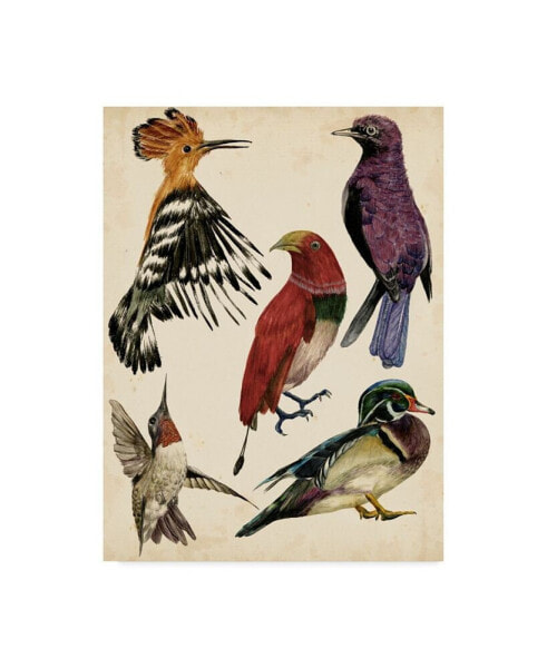 Melissa Wang Bird Collection II Canvas Art - 15" x 20"