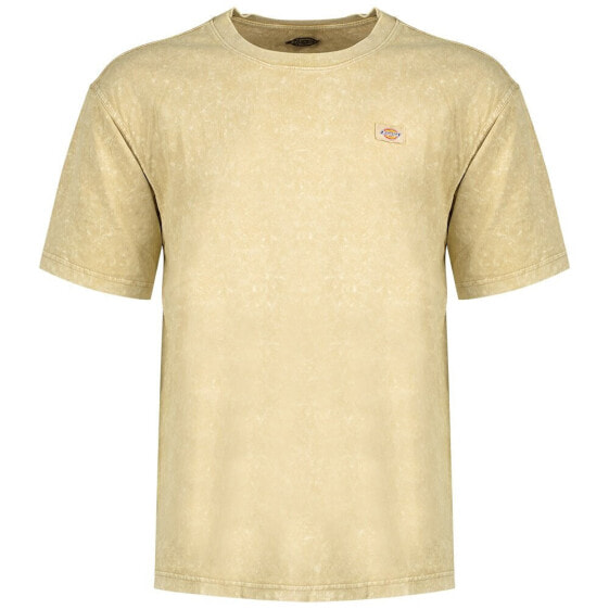 DICKIES Newington short sleeve T-shirt